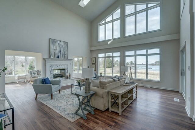 284 Palmer Dr, Lottsburg, VA 22511 - living room featuring a healthy amount of sunlight, dark wood-style floors, baseboards, and a premium fireplace