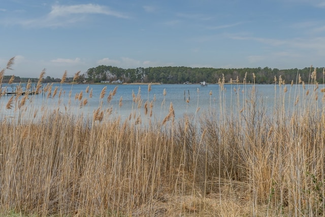 284 Palmer Dr, Lottsburg, VA 22511 - water view