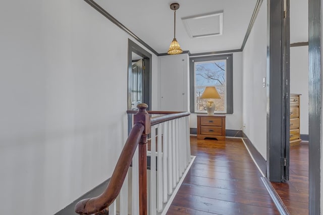 hall with dark wood-type flooring and crown molding