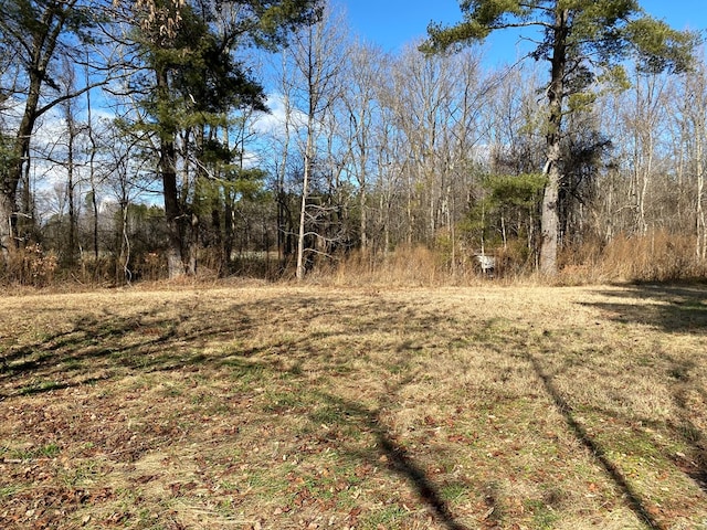 145 Millenbeck Rd, Lancaster, VA 22503 - photo 5