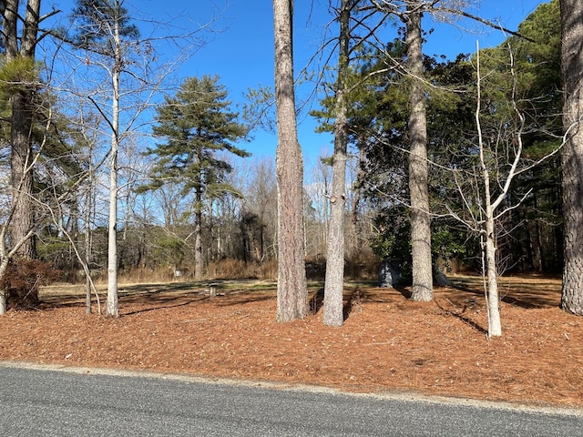 145 Millenbeck Rd, Lancaster, VA 22503 - photo 2