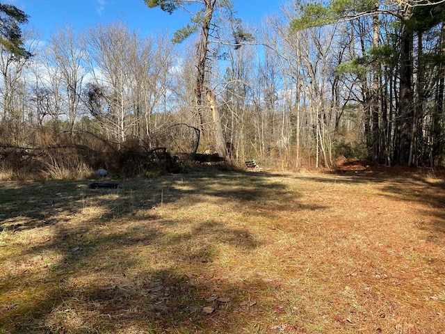 145 Millenbeck Rd, Lancaster, VA 22503 - photo 4