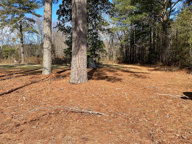 145 Millenbeck Rd, Lancaster, VA 22503 - photo 3