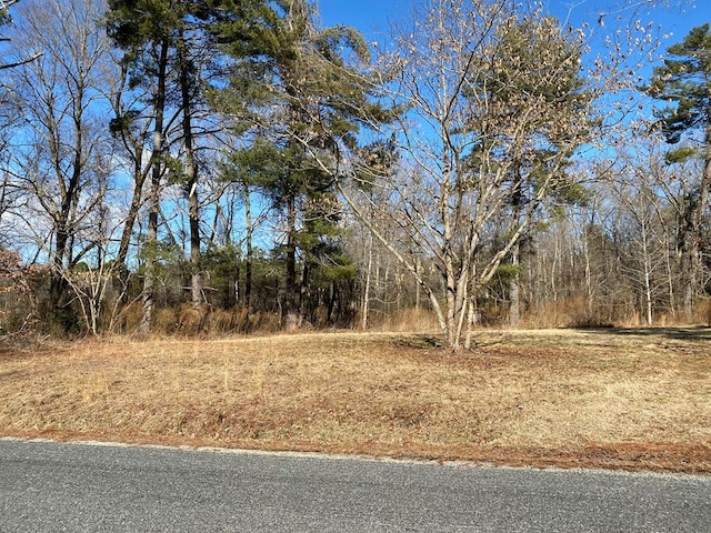 145 Millenbeck Rd, Lancaster, VA 22503 - photo 1