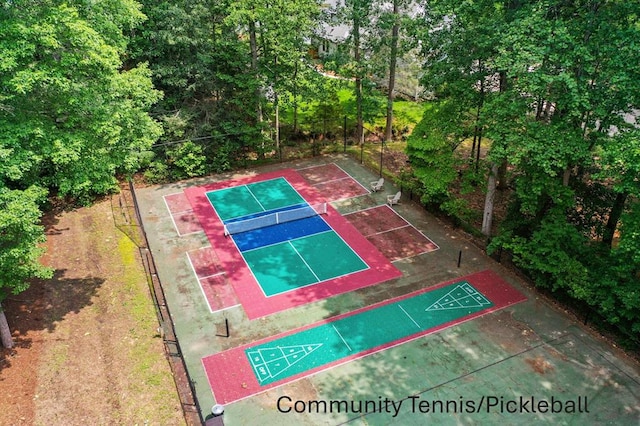 578 Canvasback Ln, Heathsville, VA 22473 - view of sport court
