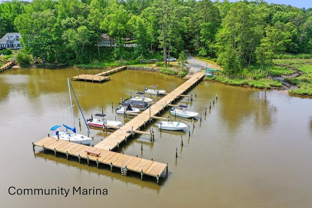 578 Canvasback Ln, Heathsville, VA 22473 - dock featuring a water view and view of wooded area