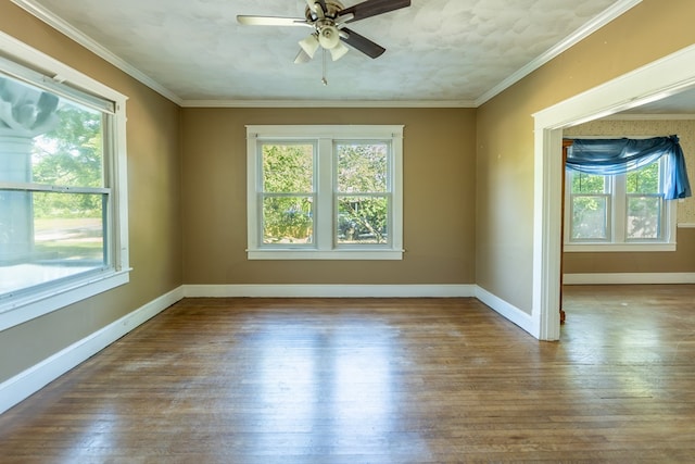 667 Chesapeake Dr, White Stone, VA 22578 - photo 6