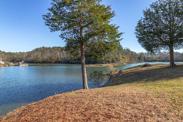 view of water feature