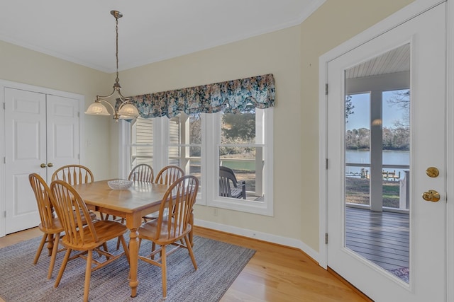 dining space with a water view, light hardwood / wood-style flooring, and a wealth of natural light