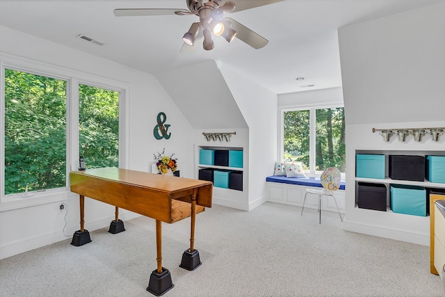 858 Harmony Hills Cir, Heathsville, VA 22473 - office space with plenty of natural light, carpet, ceiling fan, and vaulted ceiling