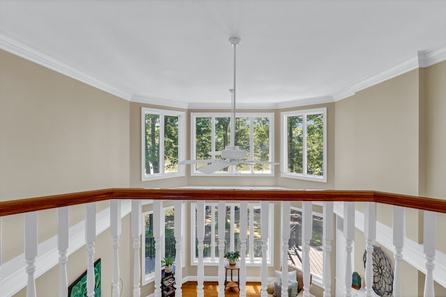 858 Harmony Hills Cir, Heathsville, VA 22473 - hallway featuring plenty of natural light and ornamental molding