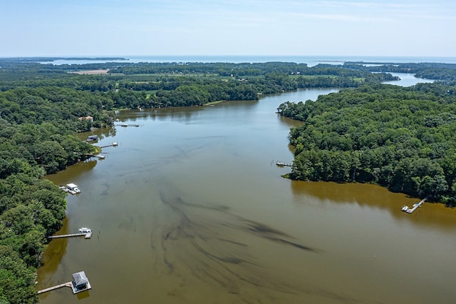 858 Harmony Hills Cir, Heathsville, VA 22473 - aerial view of a forest and a nearby body of water
