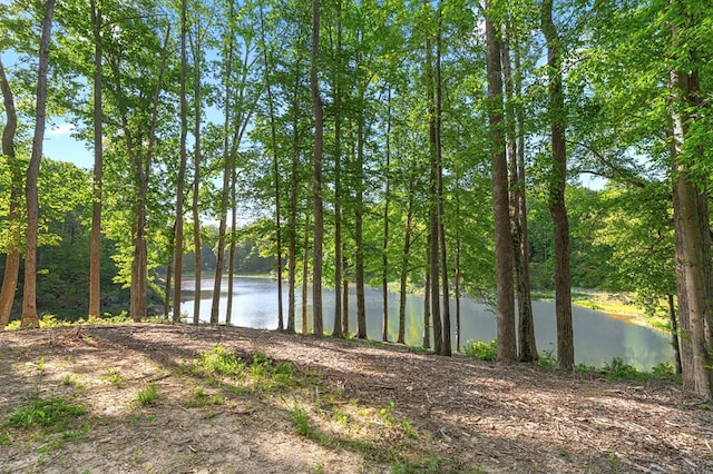 52 Fairmont Pl, Aylett, VA 23009 - photo 54