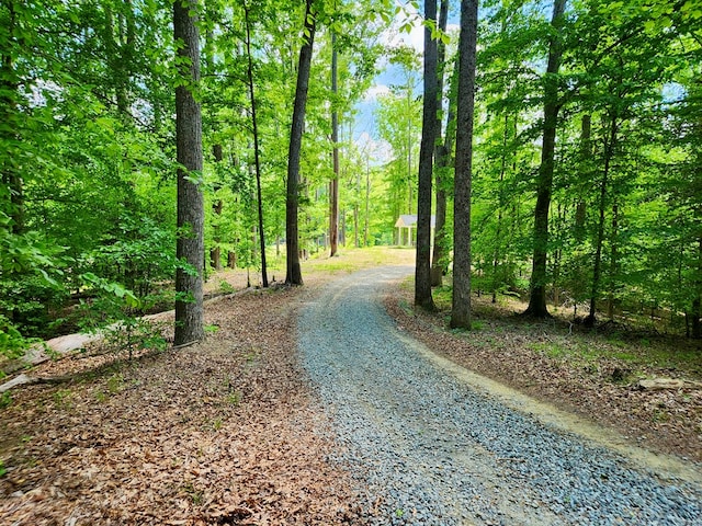 52 Fairmont Pl, Aylett, VA 23009 - photo 51
