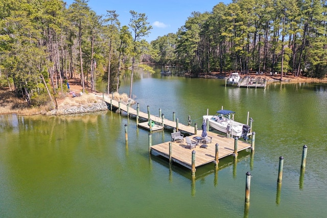 view of dock with a water view