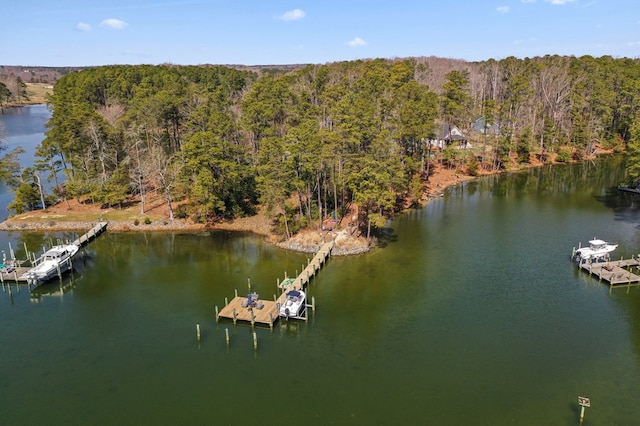 birds eye view of property with a water view and a wooded view