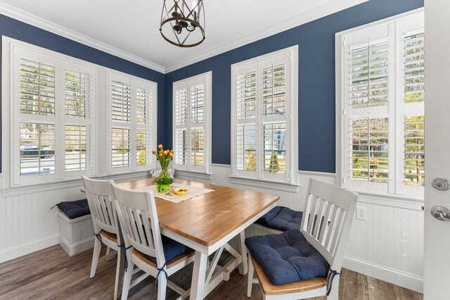 dining room with wood finished floors, a healthy amount of sunlight, and a wainscoted wall