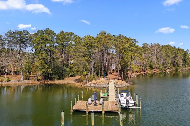 dock area with a water view