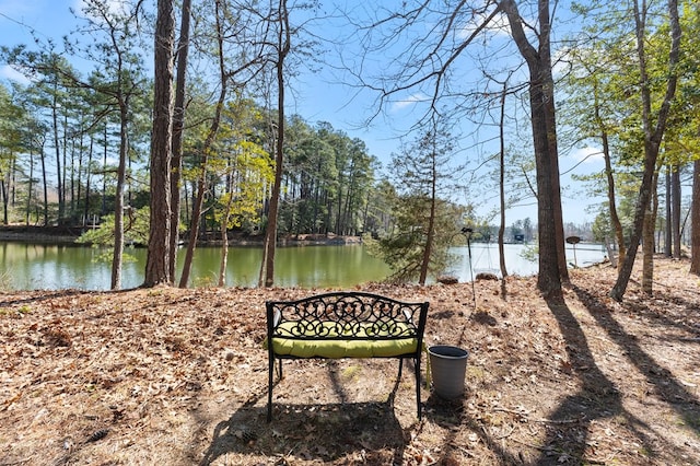 view of home's community featuring a water view