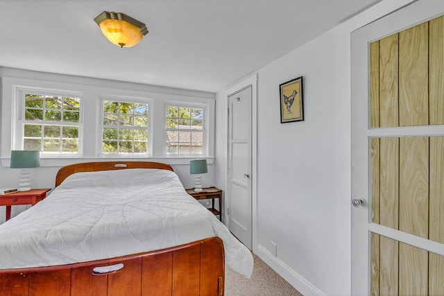 1021 Virmar Beach Rd, Heathsville, VA 22482 - carpeted bedroom with multiple windows and baseboards