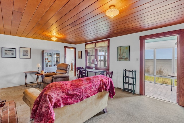 1021 Virmar Beach Rd, Heathsville, VA 22482 - living room with wooden ceiling and carpet flooring
