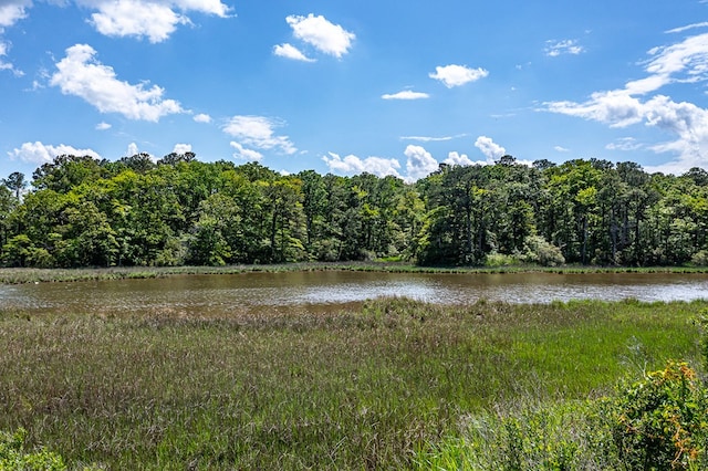 1021 Virmar Beach Rd, Heathsville, VA 22482 - water view featuring a forest