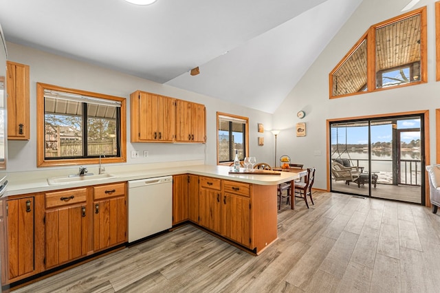 kitchen featuring a wealth of natural light, light hardwood / wood-style floors, white dishwasher, sink, and kitchen peninsula