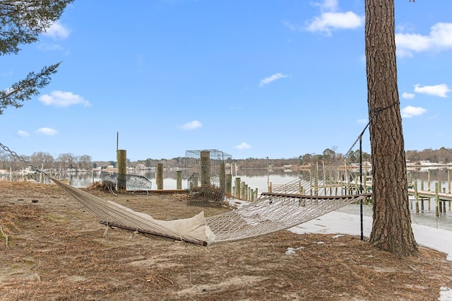 view of property's community featuring a dock and a water view