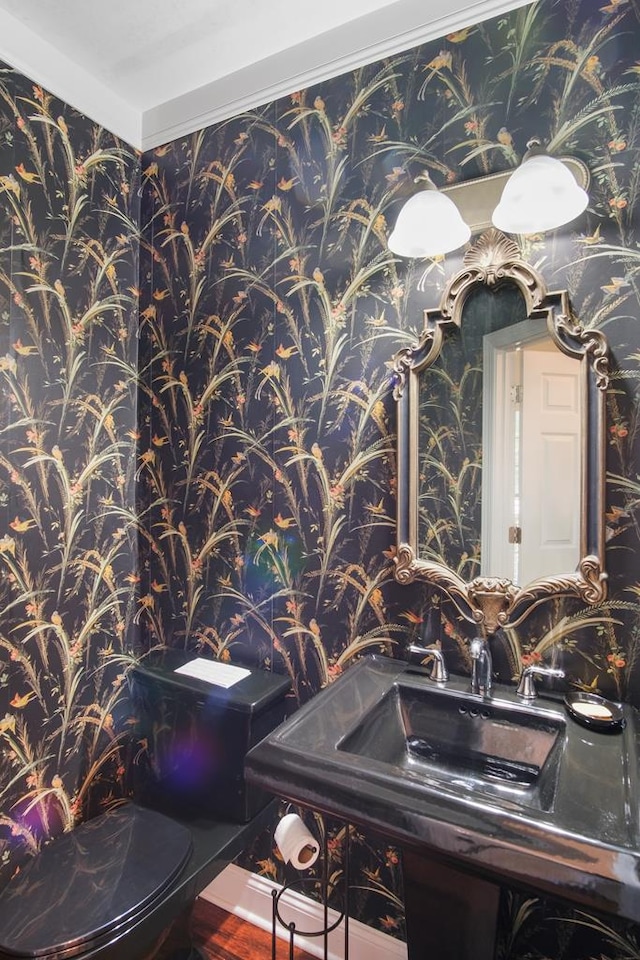 bathroom with wood-type flooring and toilet