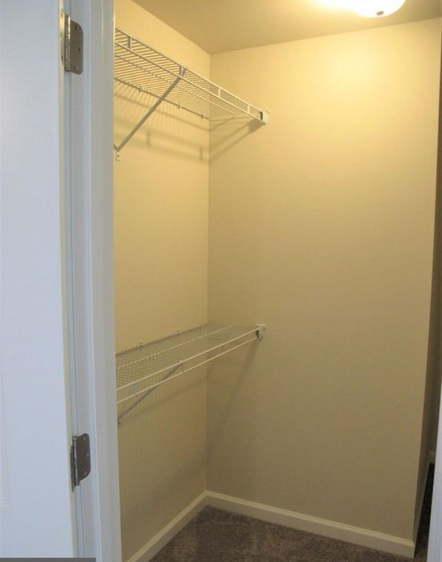 spacious closet with dark carpet