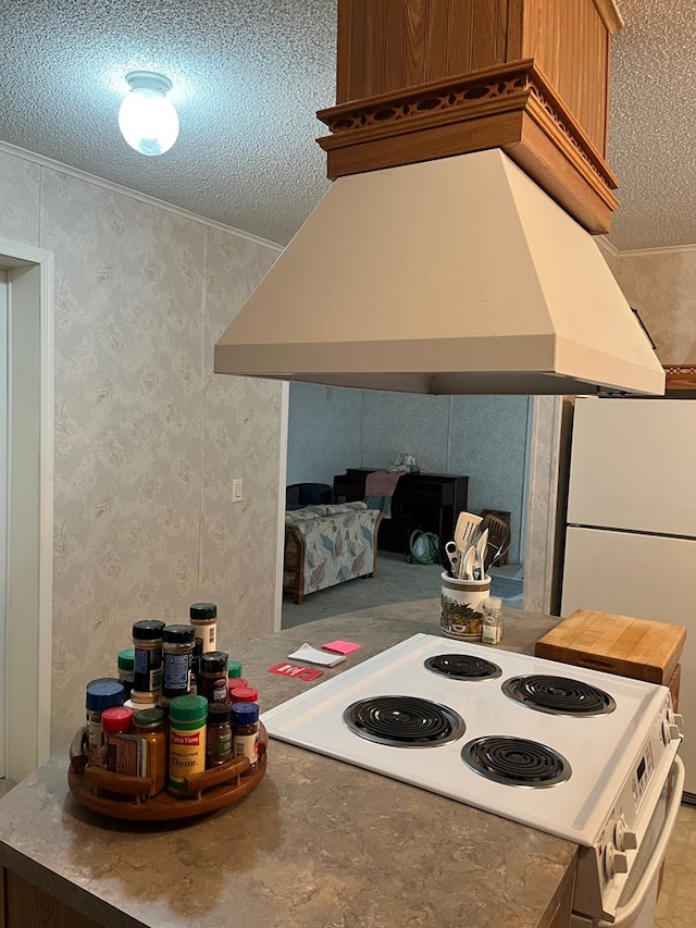 kitchen featuring electric range, custom range hood, and a textured ceiling