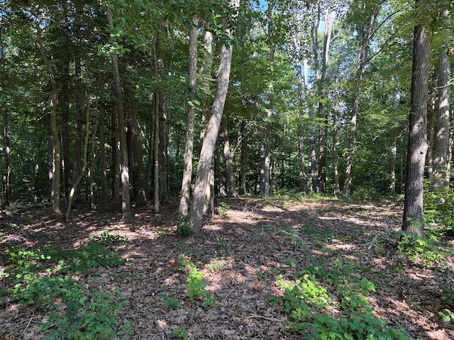 242 Oyster Cove Lndg, Hartfield, VA 23071 - photo 4