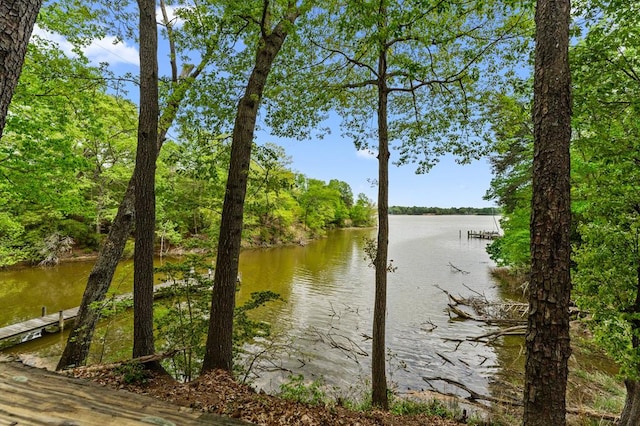 133 Jenkins Point Rd, Montross, VA 22520 - photo 58