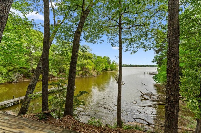133 Jenkins Point Rd, Montross, VA 22520 - photo 59