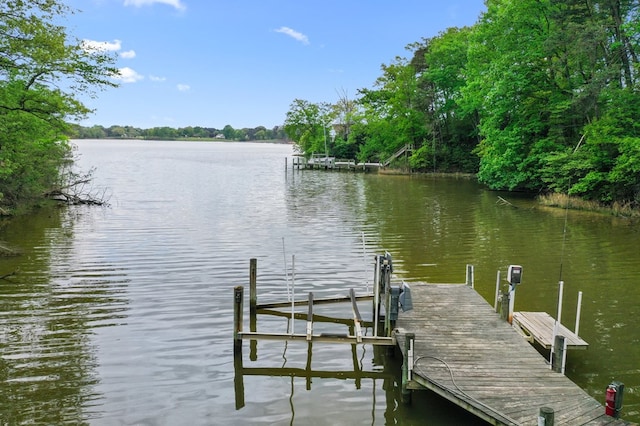 dock area with a water view