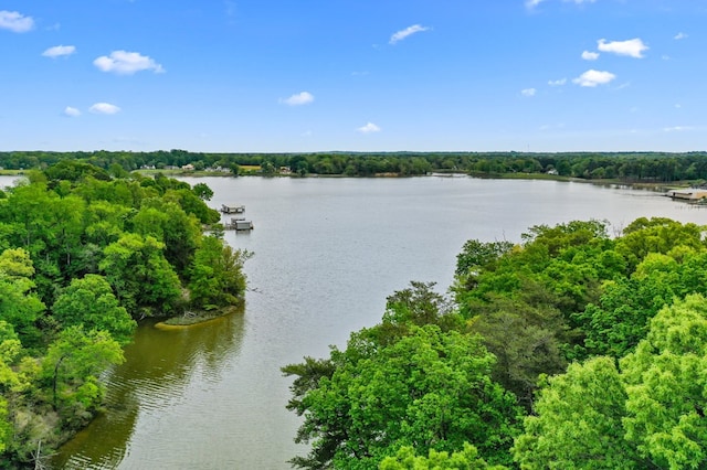 property view of water