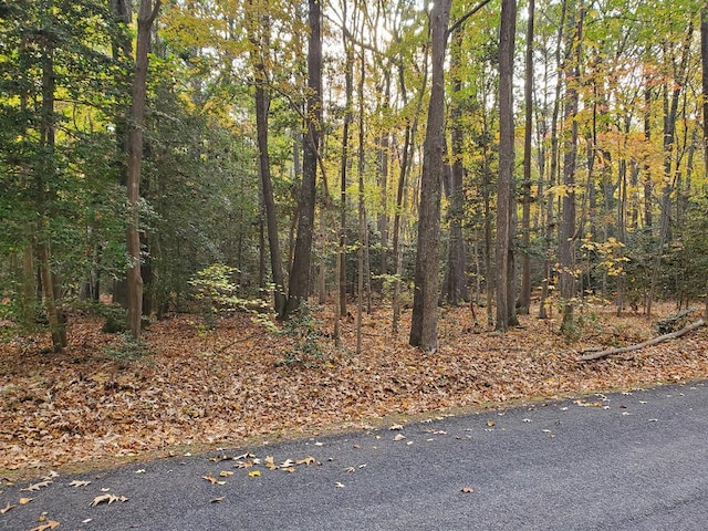 31 Cod Creek Dr, Heathsville VA, 22473 land for sale