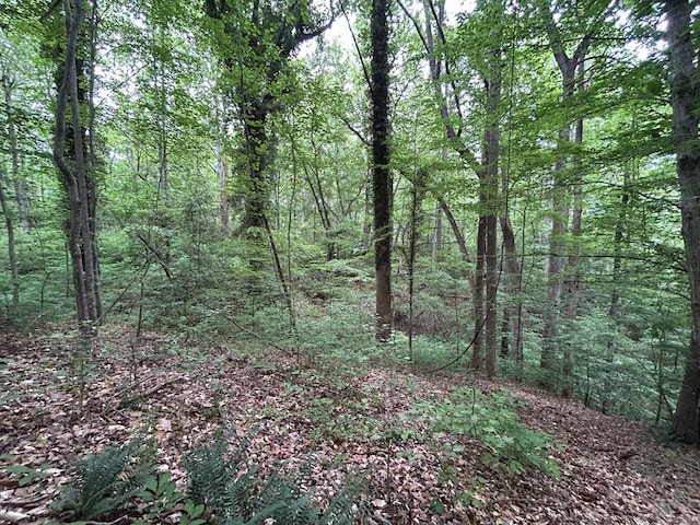 LOT122A Zion Branch Rd, Jamaica, VA 23149