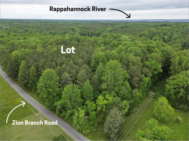 LOT122A Zion Branch Rd, Jamaica, VA 23149