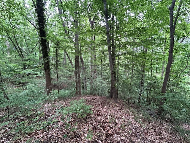 LOT122A Zion Branch Rd, Jamaica, VA 23149