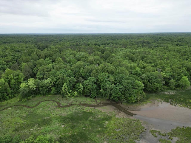 LOT122A Zion Branch Rd, Jamaica, VA 23149
