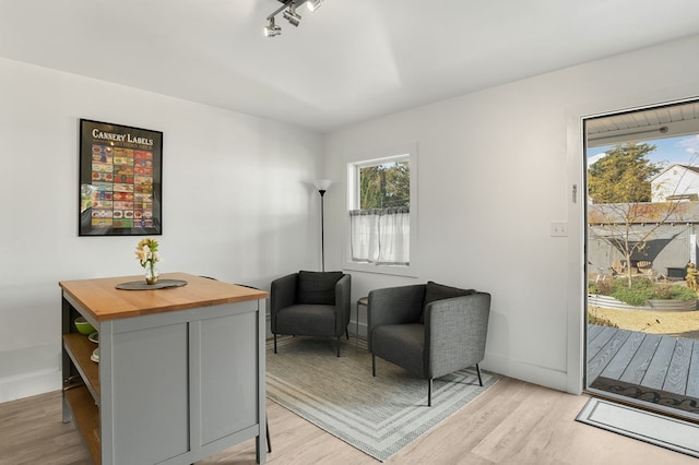 sitting room featuring light hardwood / wood-style flooring