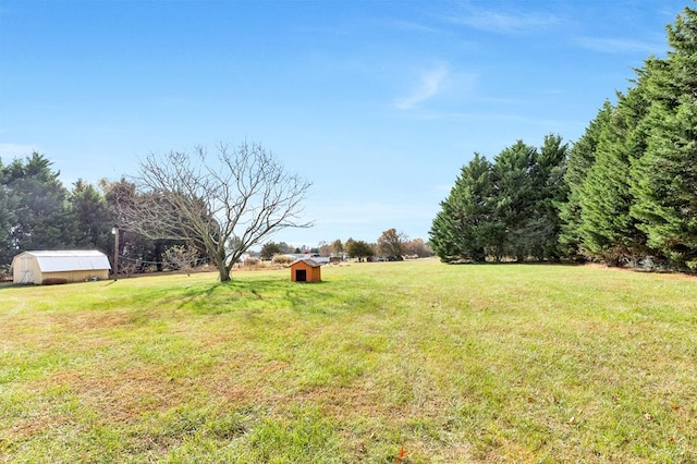 view of yard featuring a rural view and a storage shed