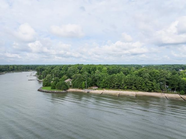 property view of water with a wooded view