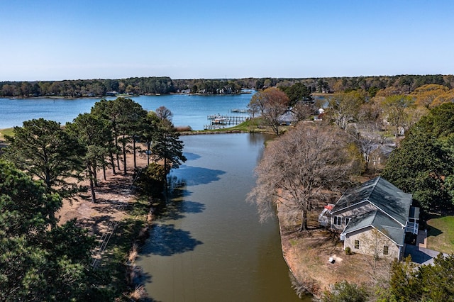 bird's eye view featuring a water view and a view of trees