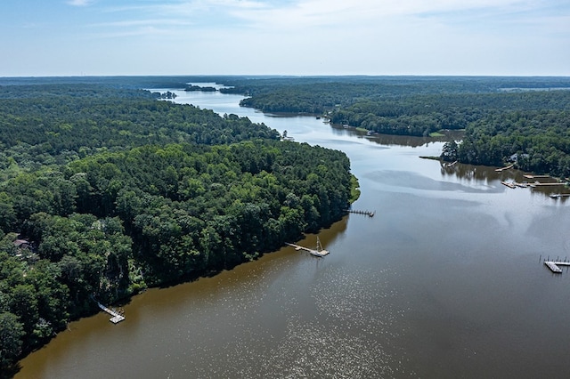 604 High Point Trl, Heathsville, VA 22473 - bird's eye view of a heavily wooded area and a nearby body of water