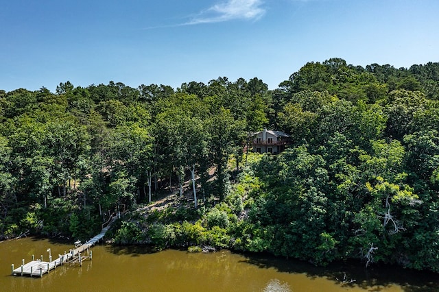 604 High Point Trl, Heathsville, VA 22473 - water view with a forest and a dock