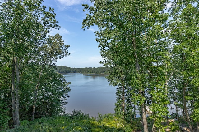 604 High Point Trl, Heathsville, VA 22473 - water view with a heavily wooded area
