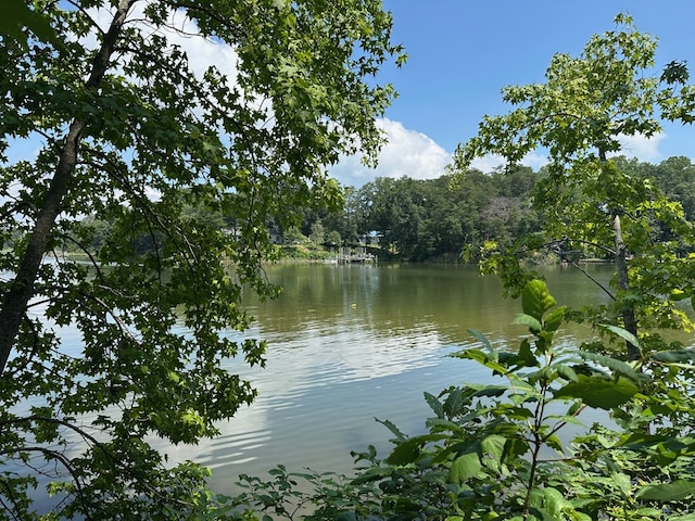 LOT46 Sunrise Ct, Lottsburg, VA 22511 - photo 3