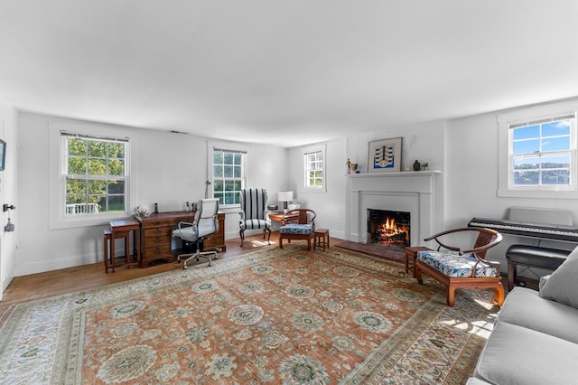 living room featuring plenty of natural light and hardwood / wood-style floors